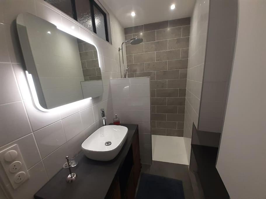 Classe 4 Etoiles - Cybele - Centre Ville 2 Chambres, Cour Privative Et Garage Виен Екстериор снимка