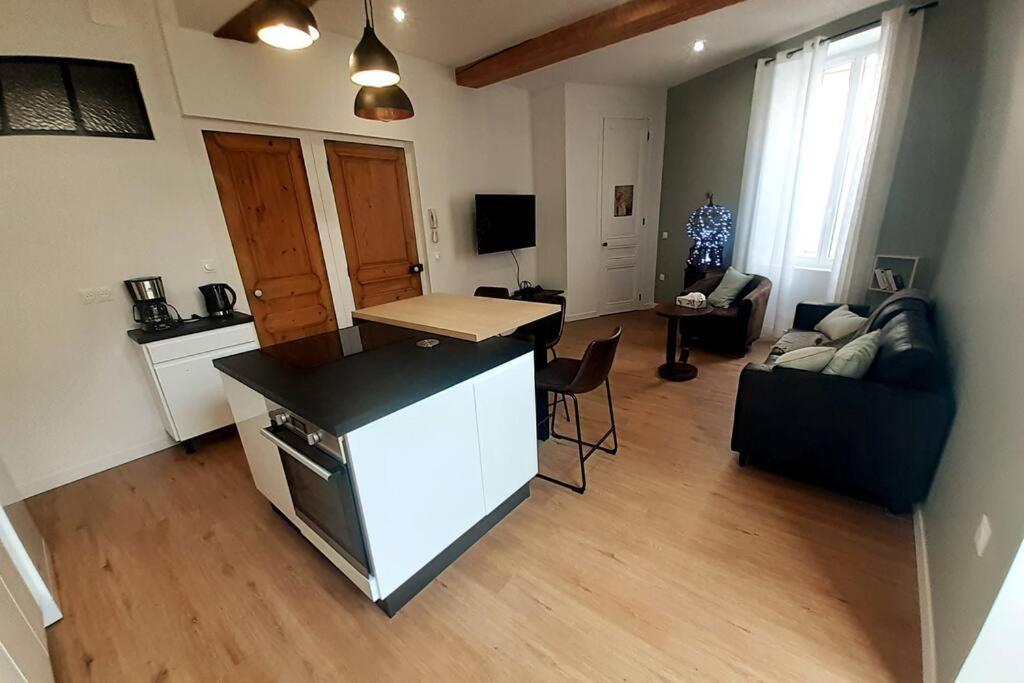 Classe 4 Etoiles - Cybele - Centre Ville 2 Chambres, Cour Privative Et Garage Виен Екстериор снимка