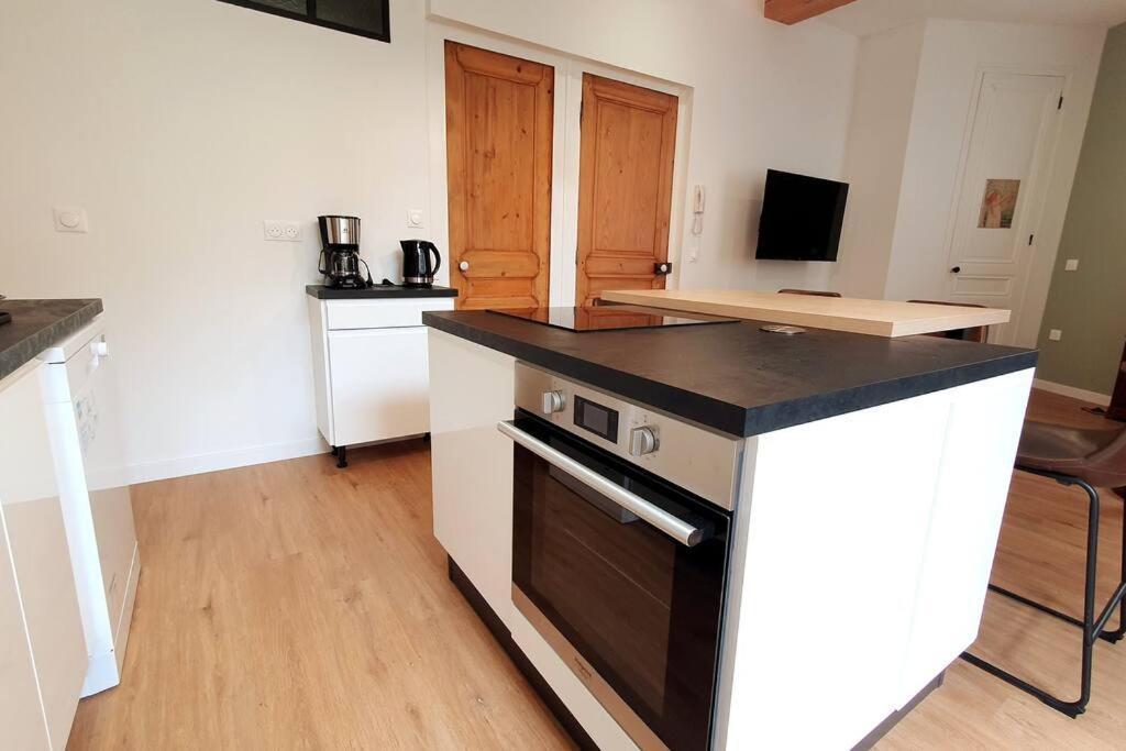 Classe 4 Etoiles - Cybele - Centre Ville 2 Chambres, Cour Privative Et Garage Виен Екстериор снимка
